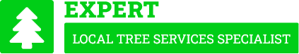 Parramatta Tree Care - Tree Removal Sydney